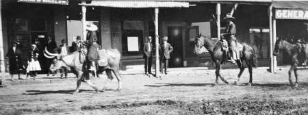 A black and white photo shows two men riding animals—a horse and an ox—down a dirt street in front of storefronts, with several people standing on the boardwalk.