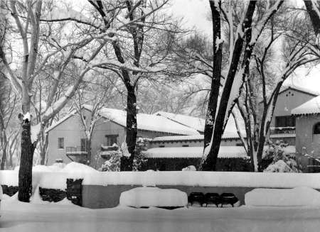 Snow-covered houses and trees in a residential neighborhood; thick layers of snow blanket rooftops, ground, and branches.