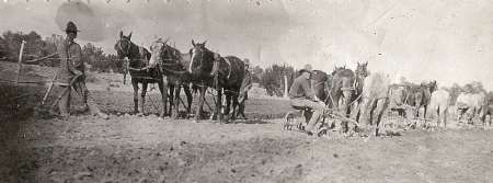 Two men are plowing a field with teams of horses; one man stands holding the reins while the other sits on a plow, with trees visible in the background.