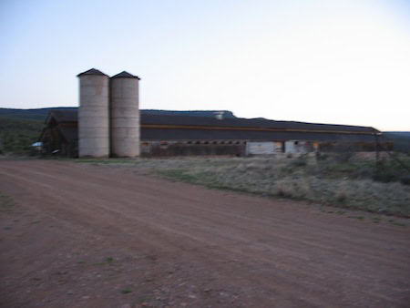 A large, weathered barn with two tall silos stands next to a dirt road in a rural landscape at dusk.