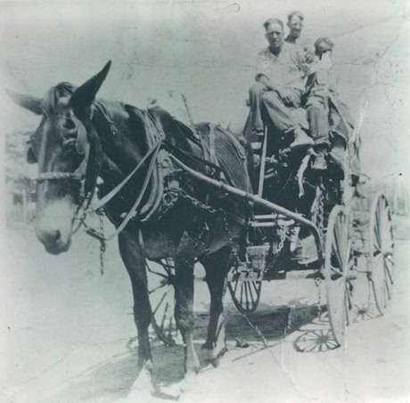 Three people sit on a horse-drawn wagon, with a large horse in the foreground facing left. The image is black and white and has an old, faded appearance.