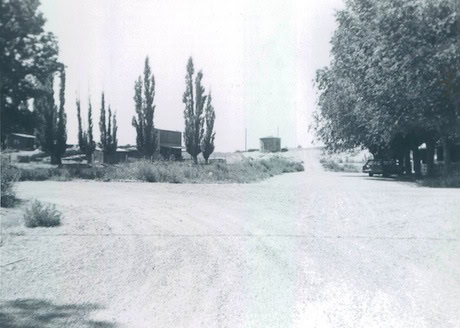 Black and white photo of a dirt road with tall trees on the left, grassy area beside the road, and a few small buildings in the background.