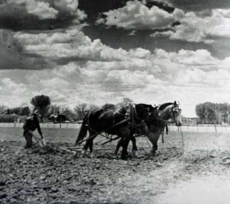 A farmer plows a field with a team of two horses under a cloudy sky.