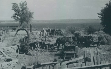 Two men use horse-drawn equipment and machinery to harvest and process crops on a rural farm, with fields and a tree visible in the background.