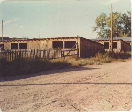 A weathered wooden fence and gate stand in front of old wooden sheds or barns on a dirt road, with sparse vegetation and utility poles nearby.