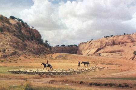 Two people on horseback herd a flock of sheep across a dry, rocky landscape with cliffs and scattered vegetation under a partly cloudy sky.