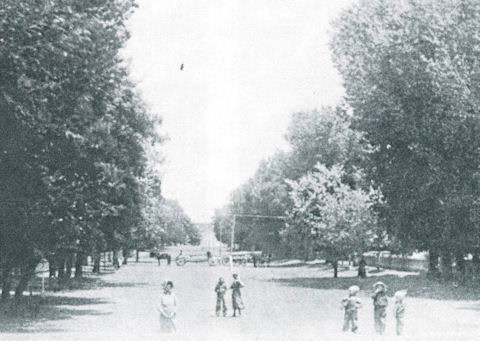 Black and white photo of children and adults standing on a wide, tree-lined street with horse-drawn wagons in the background.