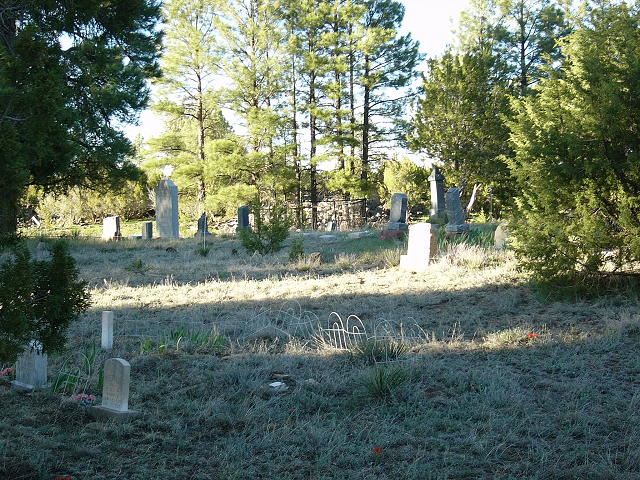 A cemetery with various gravestones scattered across a grassy area, surrounded by trees under daylight.