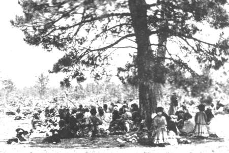 A group of people, including children and adults, sit and stand under and around a large tree in an outdoor setting.