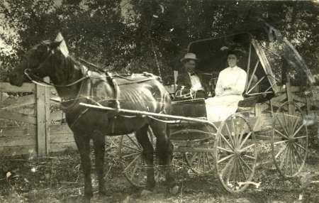 Two people sit in a horse-drawn carriage beside a wooden fence, with trees in the background.