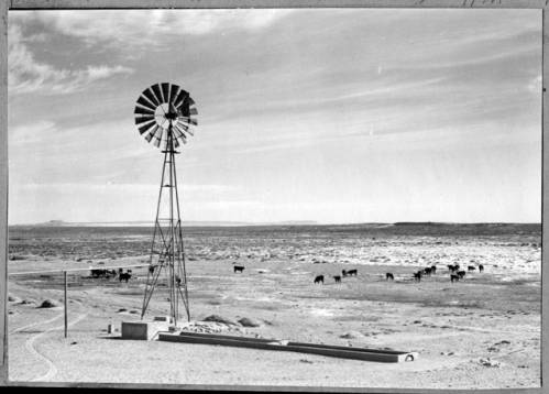A windmill stands in an open, arid landscape with scattered cattle grazing in the distance under a partly cloudy sky.