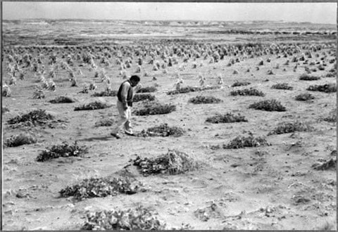 A person walks through a dry, barren field with sparse patches of vegetation under a cloudy sky.