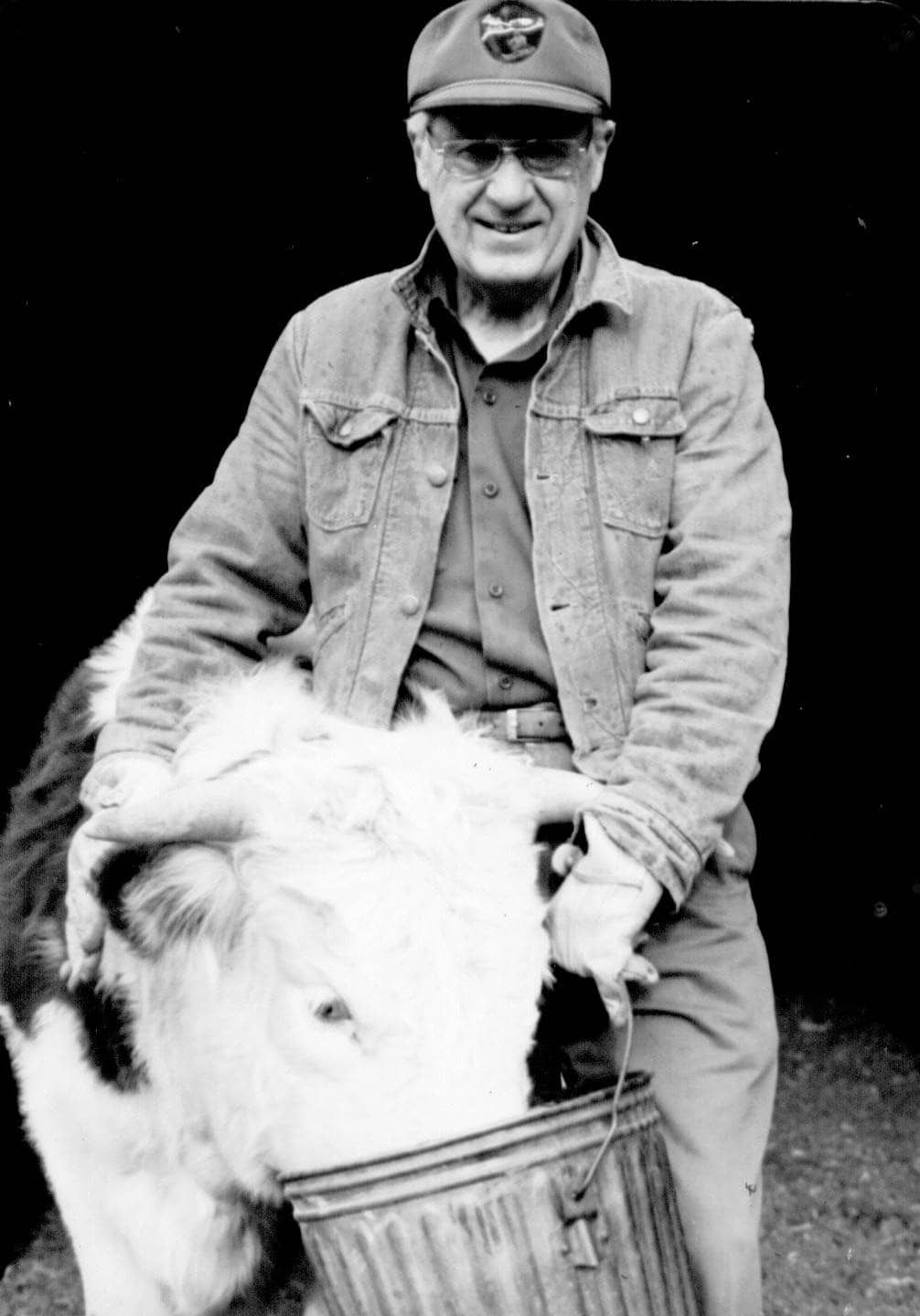 An older man in a cap and denim jacket stands next to a cow with its head in a metal bucket, against a dark background.