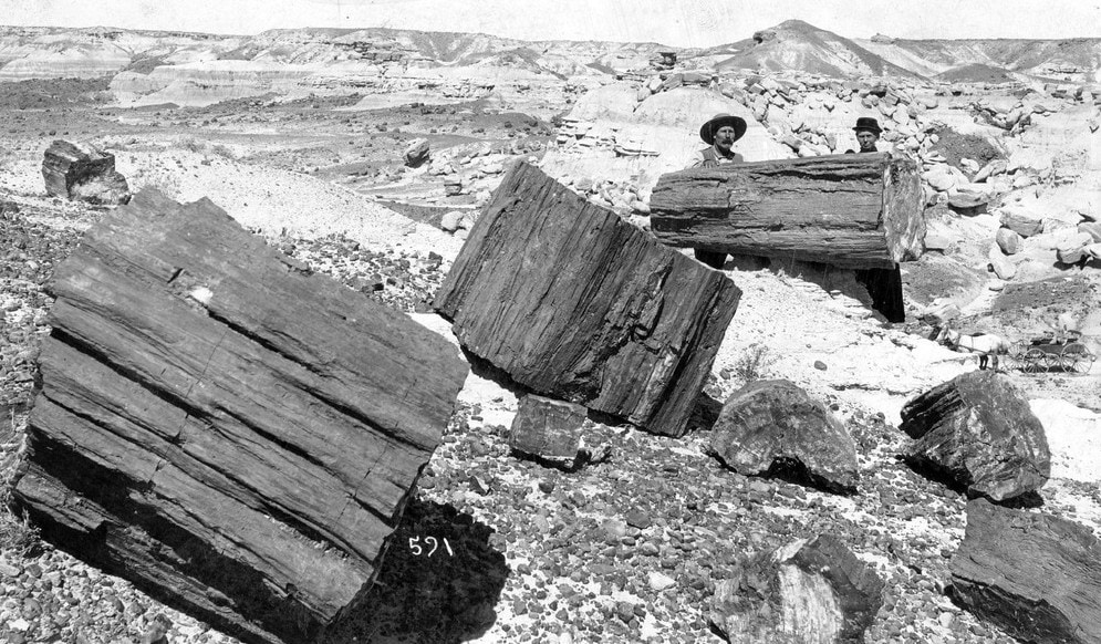 Two men stand behind large petrified wood logs scattered across a rocky landscape with hills in the background.