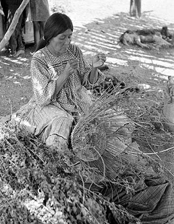 A woman sits outdoors, weaving a basket from natural materials with plants and tools around her. Other people and objects are visible in the background.