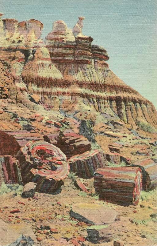 Layered rock formations and large petrified wood logs scattered on the ground in a desert landscape under a clear sky.