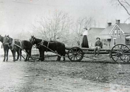 Two horses pull a large wooden wagon with two people and logs; a woman stands and a man sits, with a house and trees in the background.