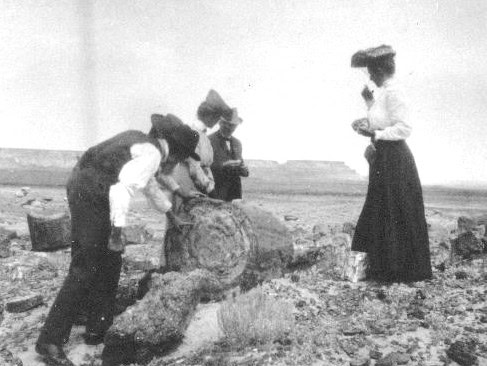 Three women in early 20th-century attire examine a large fossilized tree trunk in a barren, rocky landscape.