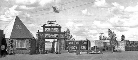 Black-and-white photo of a roadside attraction entrance with signs advertising animals and baby lions; an American flag flies overhead.