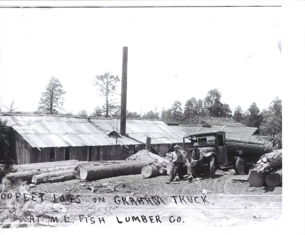 Two men stand next to a truck loaded with large logs in front of a lumber mill labeled "M.E. Fish Lumber Co." The ground is covered with more logs.