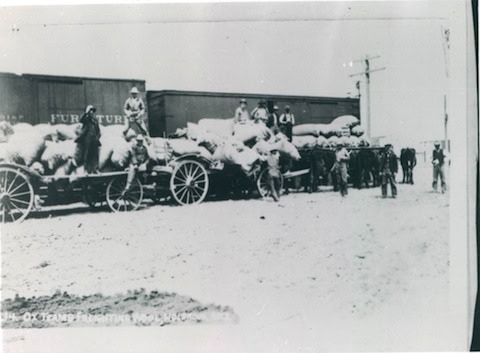 Black and white photo showing people sitting and standing on wagons loaded with sacks, parked beside a train car labeled "FURNITURE," with additional people standing nearby.