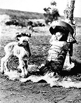 Black and white photo of a lamb standing beside another lamb wrapped in a covering and propped upright against a post outdoors.