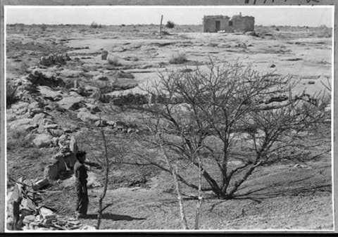 A person stands near a leafless tree in a barren landscape, with a small stone building in the distance under a clear sky.