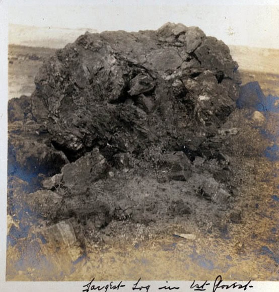 A large, irregularly shaped chunk of bog lies on a patch of rough ground, with handwritten text below the image.