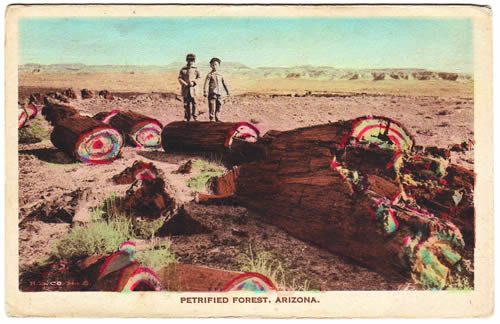 Two people stand among large, colorful petrified logs scattered across the arid landscape of Petrified Forest, Arizona.