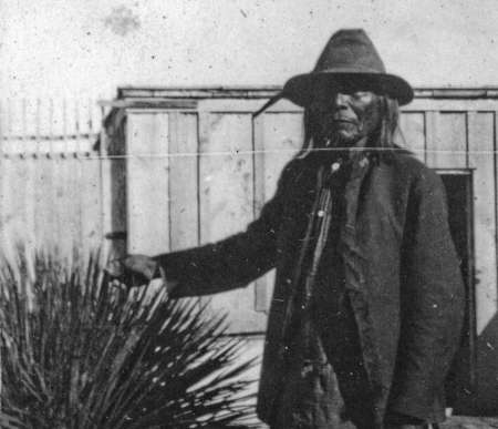 An older man in a hat and jacket stands outdoors beside a wooden structure, holding a thin object, with a spiky plant in the foreground.
