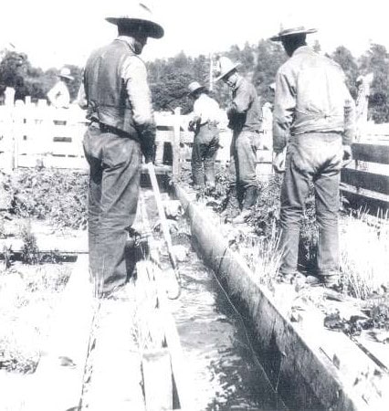 Four men in work clothes and hats stand by a wooden irrigation channel, monitoring water flow on a farm with fencing and vegetation in the background.
