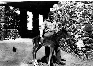 A person standing next to a young donkey in front of a stone building or structure, in an outdoor setting.
