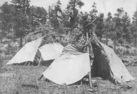 Three simple, makeshift tents made from cloth and branches are set up in a grassy outdoor area with trees in the background.