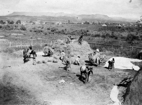 Workers harvest and stack hay in a rural field with mountains in the distance; several people and animals are involved in the activity.
