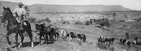 A group of people on horseback lead several pack animals across a dry, open landscape with hills in the background.