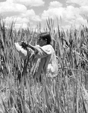 Person standing in a tall grassy field, holding and looking through a camera, with clouds visible in the sky above.