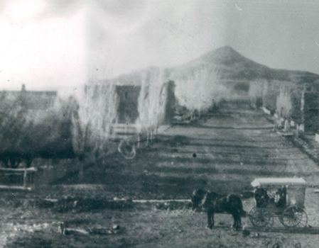 A black and white photo shows a horse-drawn carriage on a dirt road lined with trees, with a mountain in the background.