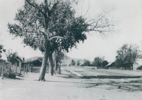 Black and white photo of a rural dirt road lined with trees and wooden fences, with houses on either side and open land in the background.